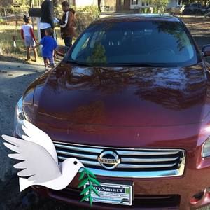 Meet your Posher, Lucille